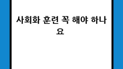 우리 강아지 첫 출산 🐶👶 완벽 준비 가이드! #강아지출산