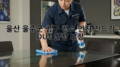 울산 울주군 침구 청소🧼 먼지 진드기 OUT! 꿀잠 보장🛌